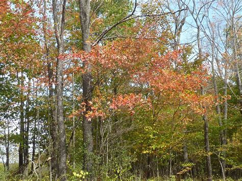 BEST Places to Visit in William - UPDATED 2023 (with Photos & Reviews ...