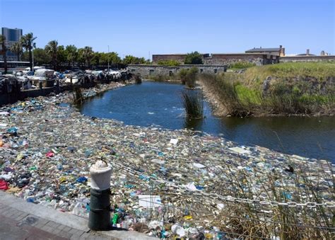 Plastic pollution in canal in cape town canal filled with plastic waste ...