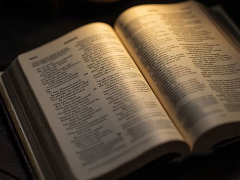 Image result for Matthew Chapter 7