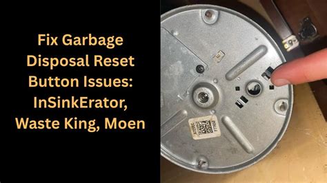 Garbage Disposal Reset Button Not Working 的图像结果