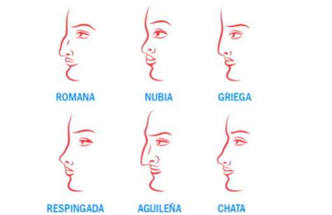 Tipos De Nariz: Afinal, Existe Um Formato Perfeito? Descubra! – MIIKME