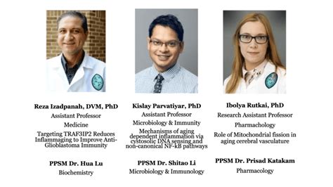 bowen pilot terbaru ngentot de san tulane pilot