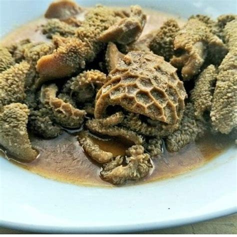 Traditional Tribal Food Systems That Sustained Nations