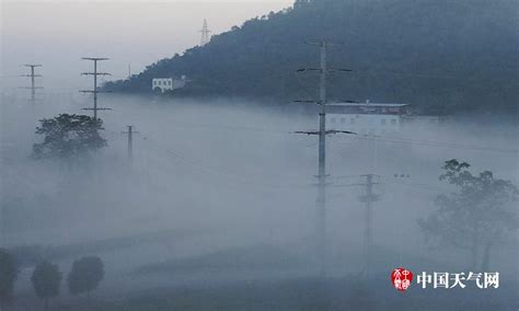 崇左升温市区出现大雾-广西高清图片-中国天气网