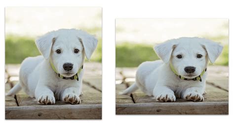 Image result for How to Design a Web Page Using HTML