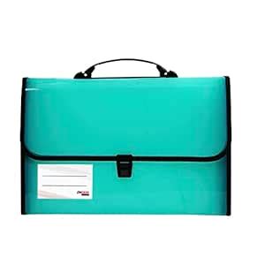 Ondesk Essentials 13 Pockets Expanding File with Handle | Durable ...