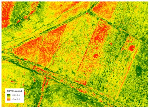 A Method for Detecting Coffee Leaf Rust through Wireless Sensor ...