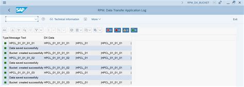 Image result for SAP PPM Bucket Portfolio Structure
