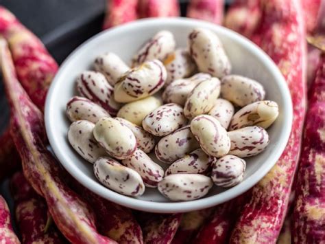 Beans-Starke Ayres | Starke Ayres