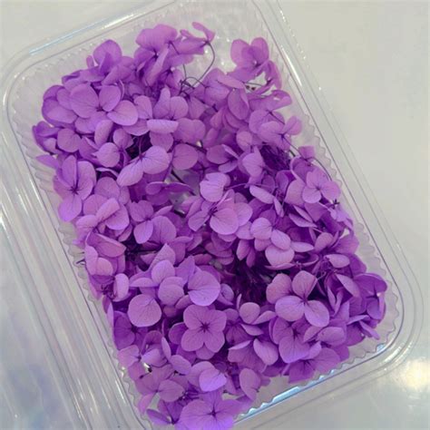 Purple Hydra Flower Box – Resin24