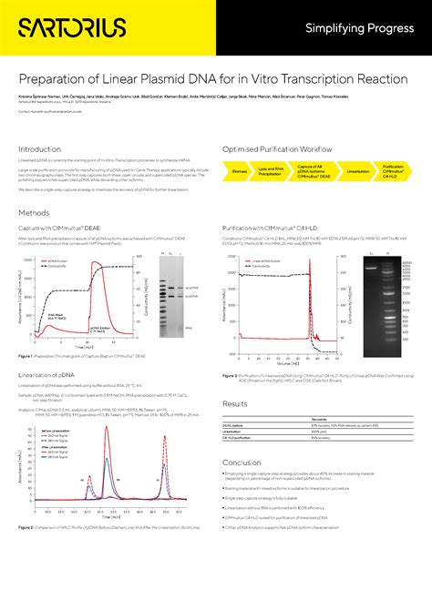 Preparation of Linear Plasmid DNA for in Vitro Transcription Reaction ...