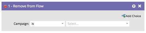 Remove from Flow | Adobe Marketo Engage
