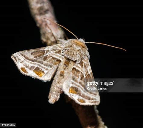 Image result for Feature Detection Computer Vision