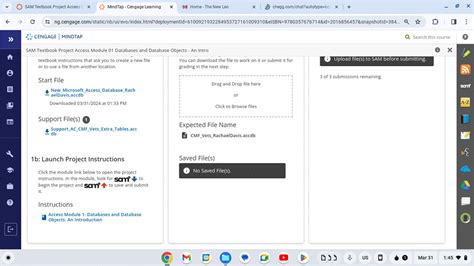 Access Module 3 Sam Project 的图像结果