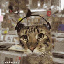 Image result for Cat Generator Control Module