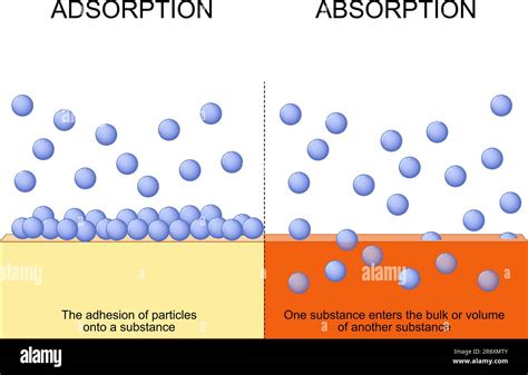 Image result for Science of Absorption
