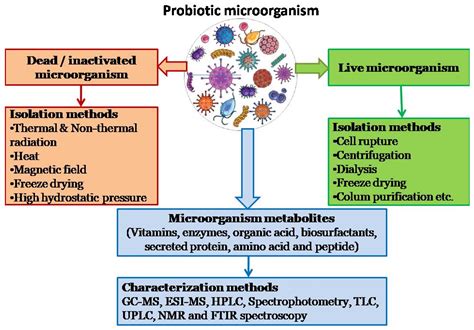Postbiotics: Functional Food Materials and Therapeutic Agents for ...
