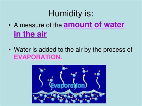 Image result for Humidity Example
