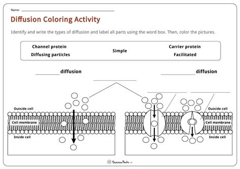 Image result for Diffusion Activity