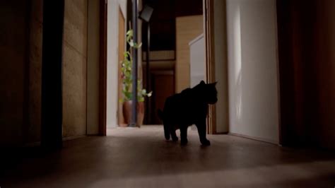 'Bring Her Back' Teaser Trailer | Moviefone