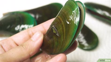 Washing Mussels 的图像结果