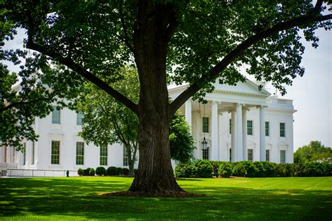 Donald Trump as President Photo 的图像结果