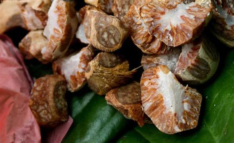 Addicted to supari? Study says betel nut raises heart, cancer and ...