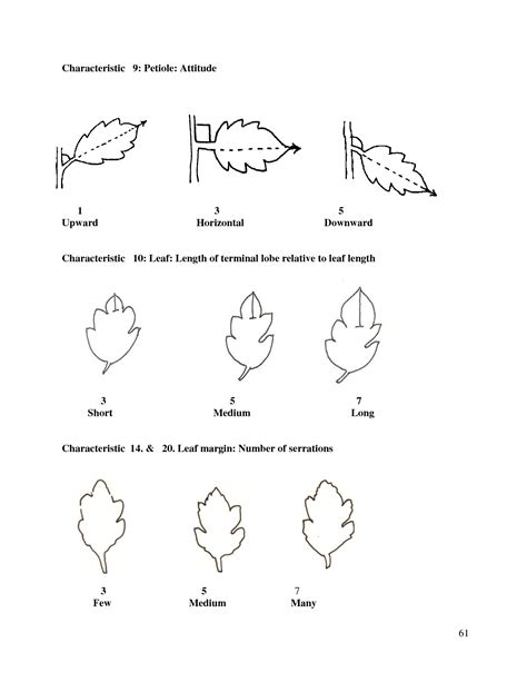 First Issue - 01 January, 2010 (Vol.4 No.01) | Official website of ...
