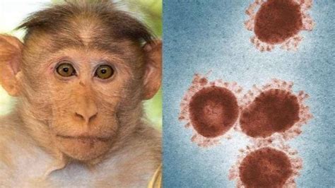 猴痘是否会传入中国并造成流行？吴尊友发长文回应_凤凰网