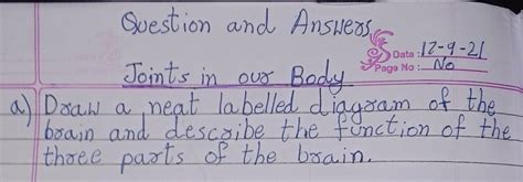 Draw a neat labelled diagram of the brain and describe the function of ...