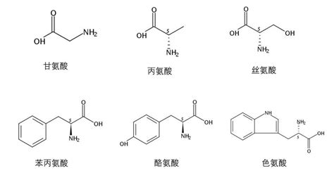 20种氨基酸结构图,种基酸图,种基酸式_大山谷图库