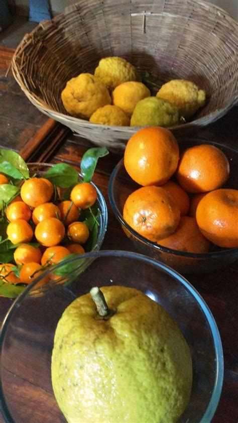Cooking Age-old Royal Recipes With The Maharajas Of Ahilya Fort