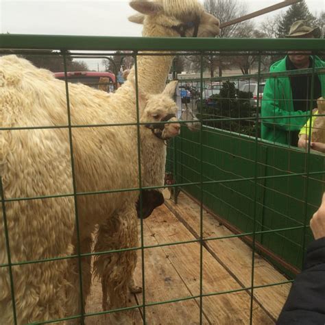 Carlisle Expo Center, 100 K St, Carlisle, PA, Trade Fairs & Shows ...