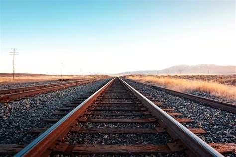 First Local Train 的图像结果