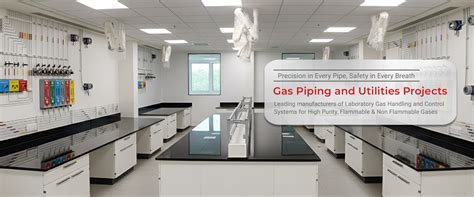 Gas Equipment Manufacturers in India, Gas Generators, PCI Analytics Pvt ...