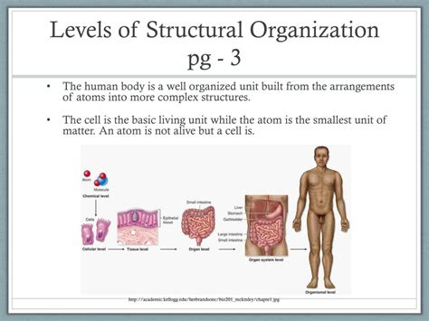 Example of System Structure 的图像结果