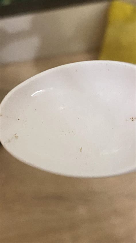 What is this? : r/Aquariums