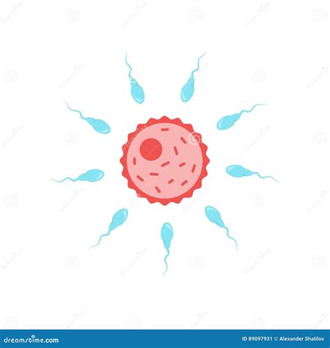 Process of Fertilization of an Egg with Sperm. Rivalry at an Early Stage. the Concept of the ...
