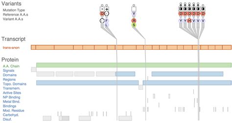 Image result for Variant Definition