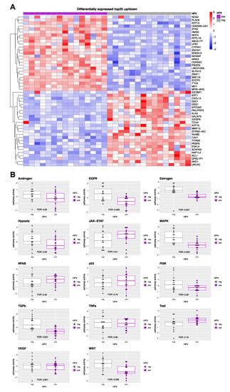 Integration of p16/HPV DNA Status with a 24-miRNA-Defined Molecular ...