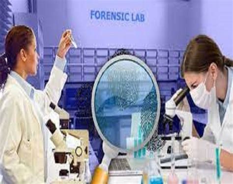 Forensic Science Laboratory 的图像结果