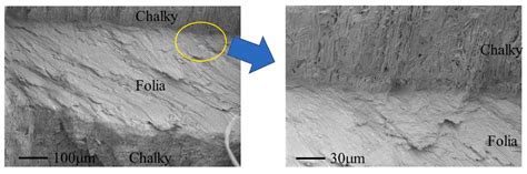 Biomimetic Use of Food-Waste Sources of Calcium Carbonate and Phosphate ...
