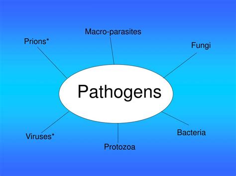 Pathogen 的图像结果