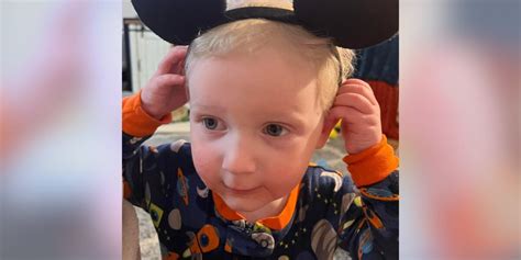 3-year-old boy attacked by dogs is not expected to survive