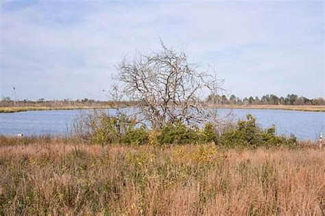 Hiking Near New York: Get Ready For The 10 Thrilling Trails!