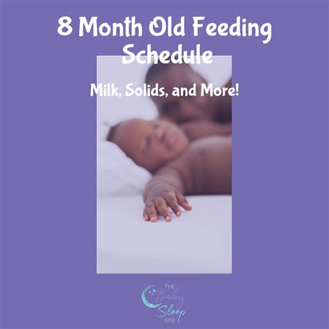 8 Month Old Feeding Schedule: How Much Milk and Solid Meals