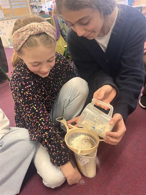 Primary Science 的图像结果