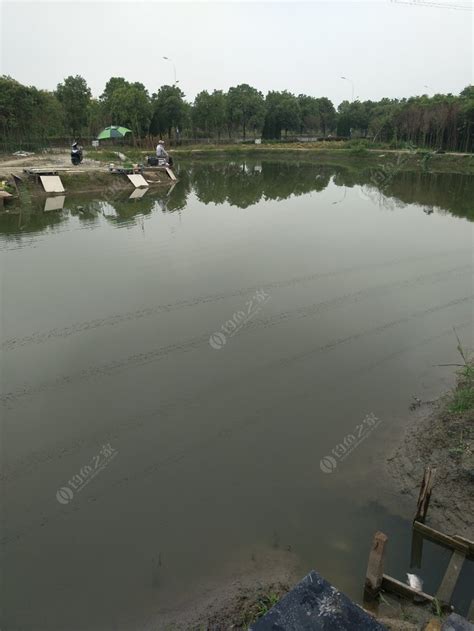 芜湖钓场_芜湖钓场大全_芜湖哪里能钓鱼 - 钓鱼之家