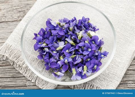 Violets Are Edible at Gene Courtney blog