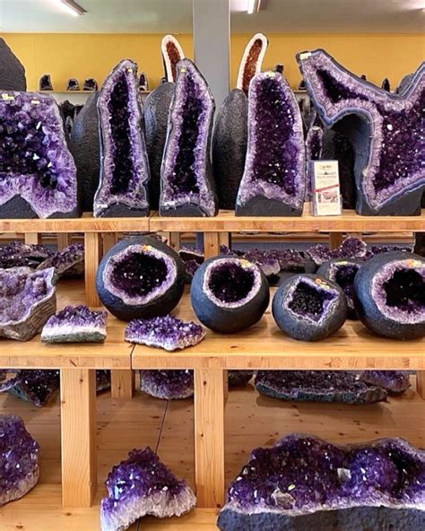 Image result for Sheared Store G